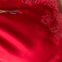 Seta Superior Seide Triangel-BH SPECIALE Von Cotton Club -Meer Bekleidung seide mit spitze rosso cotton club 3