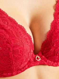Bügel-BH ROSESSENCE HK Spitze Von Aubade -Meer Bekleidung spitze dessous hk12 5 gala rot rosessence aubade 14 1