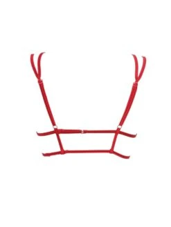 Triangel Longline BLACK SWAN BH Aus Spitze Von Prelude Milano -Meer Bekleidung triangel bh longline ys281 rot black swan prelude milano 2 1